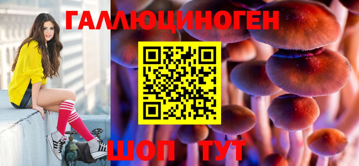 Джанкой  Псилоцибиновые грибы Cubensis  Вход с VPN 